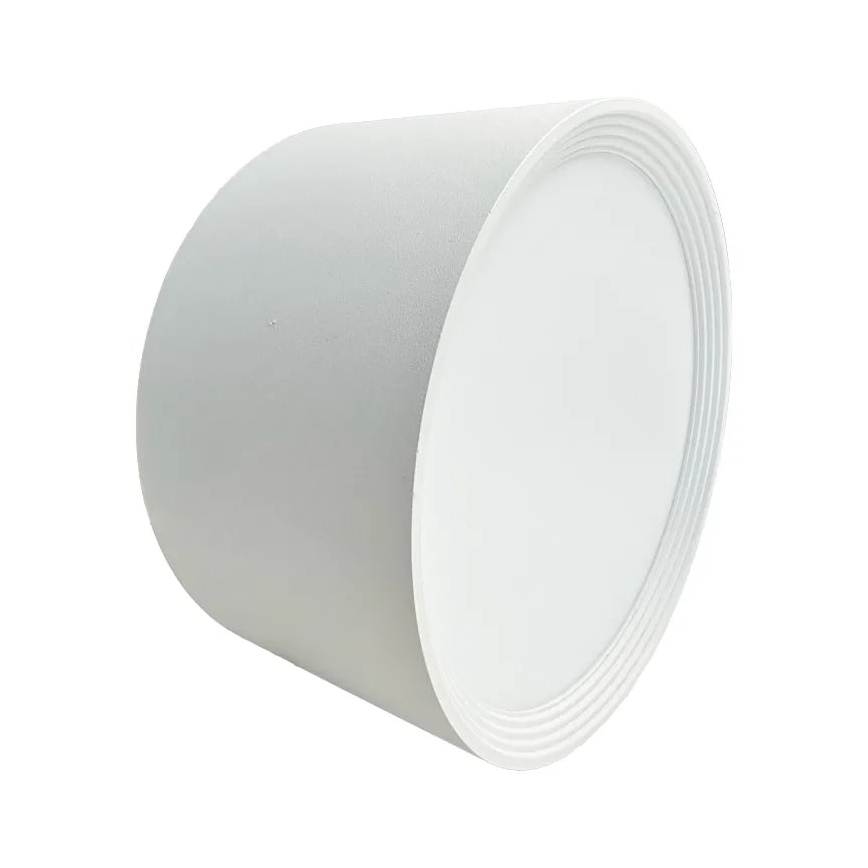 LED akcentinis šviestuvas LED/17W/230V 4000K diametras 15 cm balta