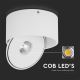 LED Lankstus Akcentinis šviestuvas LED/20W/230V 3000/4000/6400K CRI 90 balta