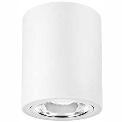 LED akcentinis šviestuvas TACO 1xE27/15W/230V balta