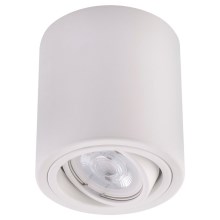 LED Akcentinis šviestuvas TUBA 1xGU10/5W/230V 2700K baltas