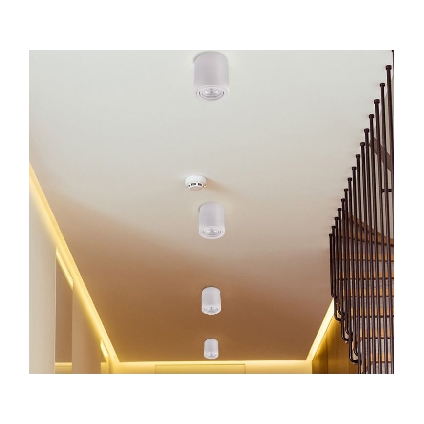 LED Akcentinis šviestuvas TUBA 1xGU10/5W/230V 2700K baltas