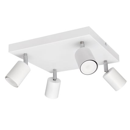 LED Akcentinis šviestuvas TUNE 4xGU10/4,8W/230V baltas