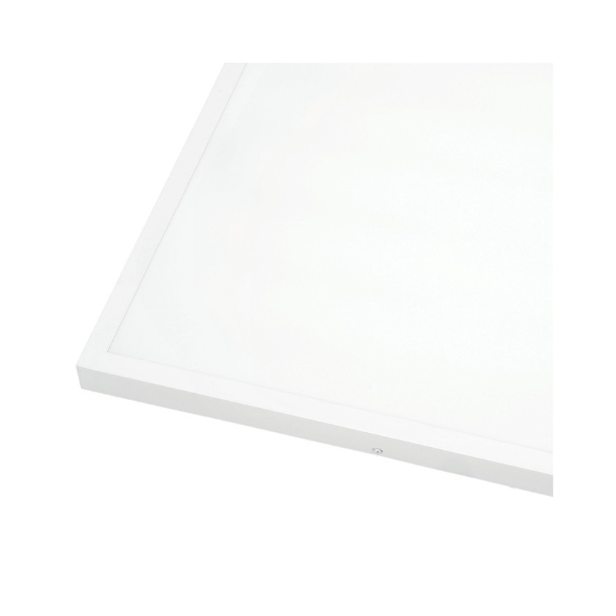 LED Ant pagrindo montuojama panelė BRISBANE LED/36W/230V 4000K 59,5x59,5 cm balta