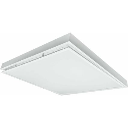 LED Ant pagrindo montuojama panelė ILLY LED/36W/230V