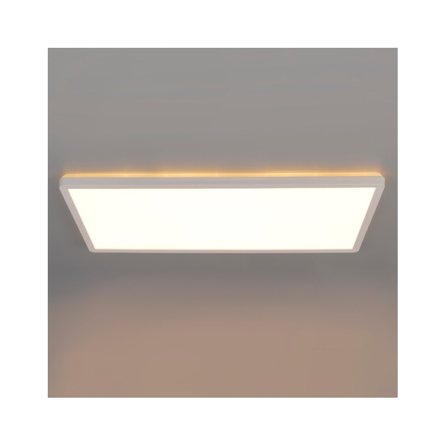 LED Ant pagrindo montuojama panelė NIVERA LED/32W/230V IP54 3000/4000/6000K 29,5x59,5 cm balta