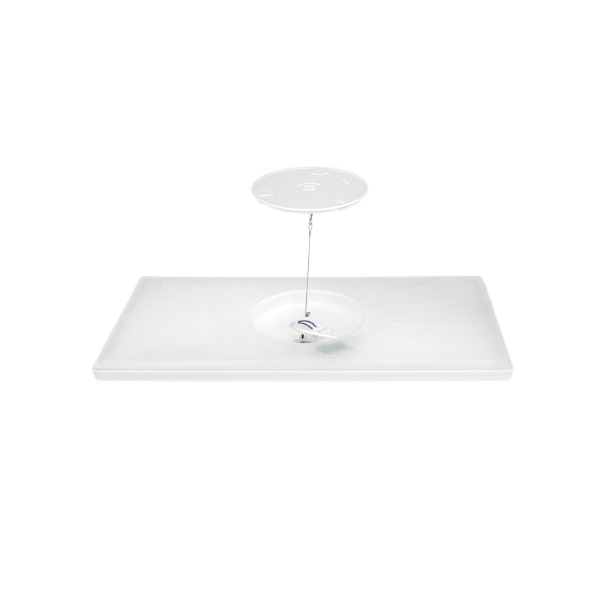 LED Ant pagrindo montuojama panelė NIVERA LED/32W/230V IP54 3000/4000/6000K 29,5x59,5 cm balta