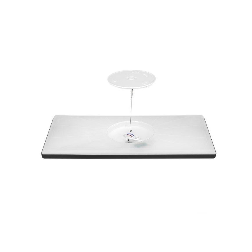 LED Ant pagrindo montuojama panelė NIVERA LED/32W/230V IP54 3000/4000/6000K 29,5x59,5 cm juoda