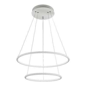 LED Ant virvės kabinamas lubinis šviestuvas ORION LED/53W/230V