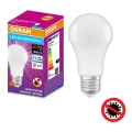 LED Antibakterinė lemputė A75 E27/10W/230V 6500K - Osram