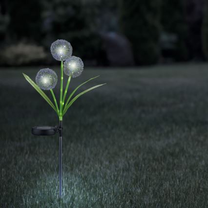 LED apšvietimas, įkraunamas saulės energija ALLIUM LED/1,2V 6500K 600 mAh IP44 juoda