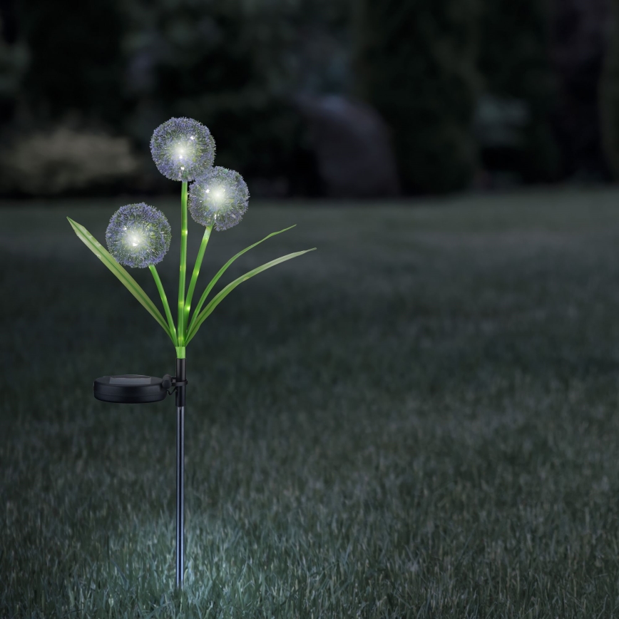 LED apšvietimas, įkraunamas saulės energija ALLIUM LED/1,2V 6500K 600 mAh IP44 juoda
