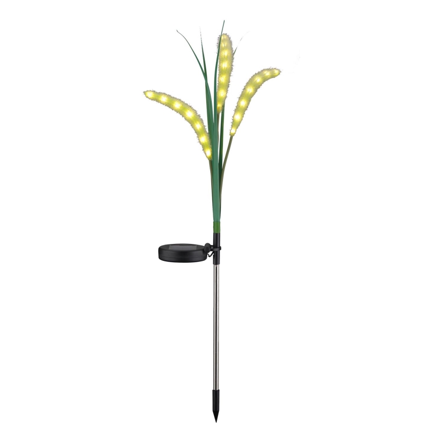 LED apšvietimas, įkraunamas saulės energija FLORA LED/1,2V 3000K 600 mAh IP44 juoda