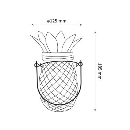 LED apšvietimas, įkraunamas saulės energija JAR LED/1,2V IP44 ananasų