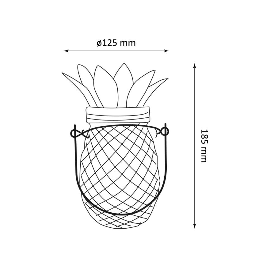 LED apšvietimas, įkraunamas saulės energija JAR LED/1,2V IP44 ananasų