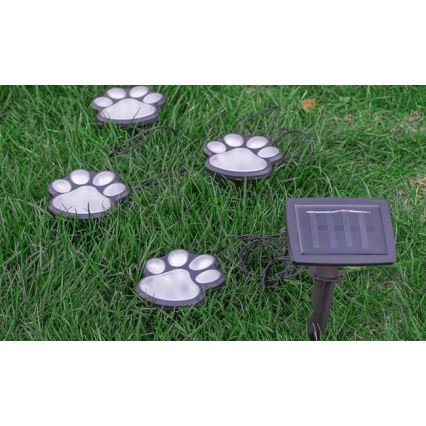 LED apšvietimas, įkraunamas saulės energija LED/0,14W/2V IP44 paws