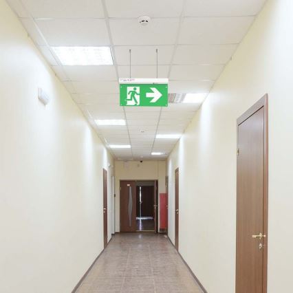 LED avarinė lemputė EMERGENCY EXIT LED/2,5W/230V 4in1 6000K