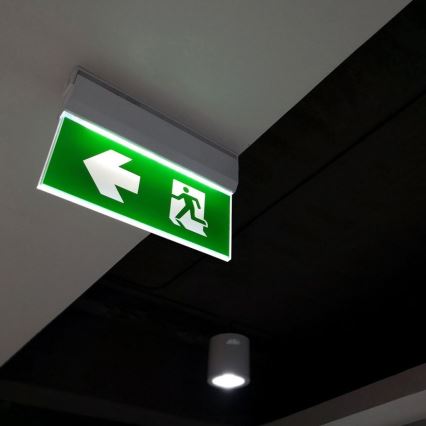 LED avarinė lemputė EMERGENCY EXIT LED/2,5W/230V 4in1 6000K