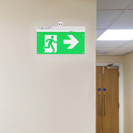 LED avarinė lemputė EMERGENCY EXIT LED/2,5W/230V 4in1 6000K