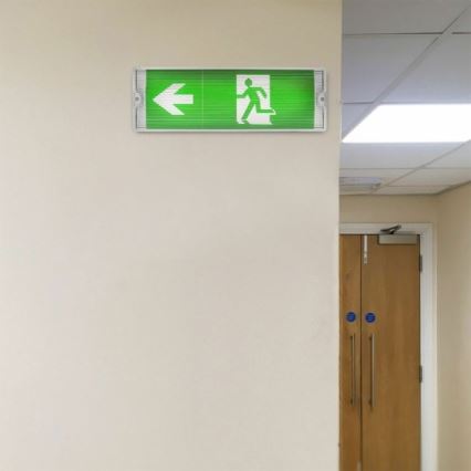 LED avarinė lemputė EMERGENCY EXIT LED/3W/230V 6400K IP65