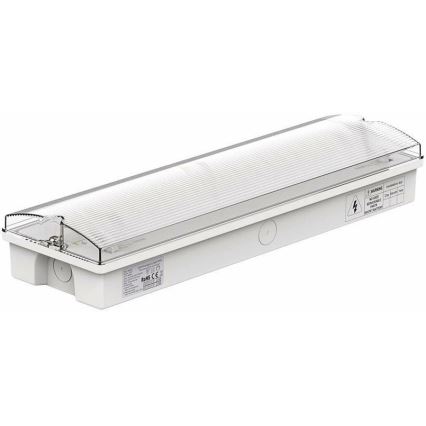 LED avarinė lemputė EMERGENCY EXIT LED/3W/230V 6400K IP65