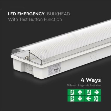 LED avarinė lemputė EMERGENCY EXIT LED/3W/230V 6400K IP65