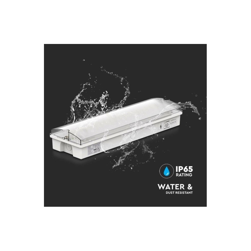LED avarinė lemputė EMERGENCY EXIT LED/3W/230V 6400K IP65