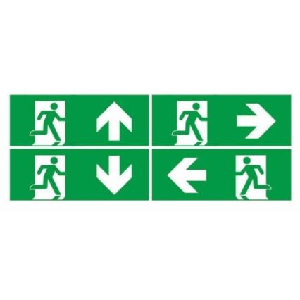 LED avarinė lemputė EMERGENCY EXIT LED/3W/230V 6400K IP65