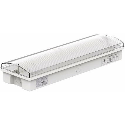 LED avarinė lemputė su įprastu funkcionalumo testu EMERGENCY EXIT LED/3W/230V 6400K IP65