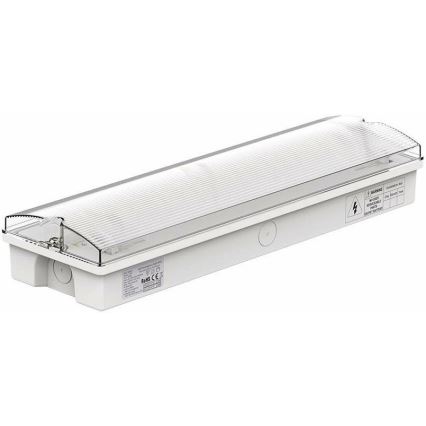 LED avarinė lemputė su įprastu funkcionalumo testu EMERGENCY EXIT LED/3W/230V 6400K IP65