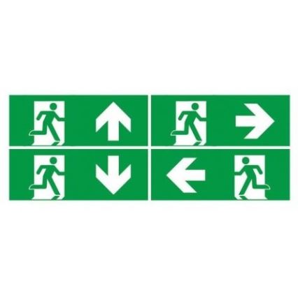 LED avarinė lemputė su įprastu funkcionalumo testu EMERGENCY EXIT LED/3W/230V 6400K IP65