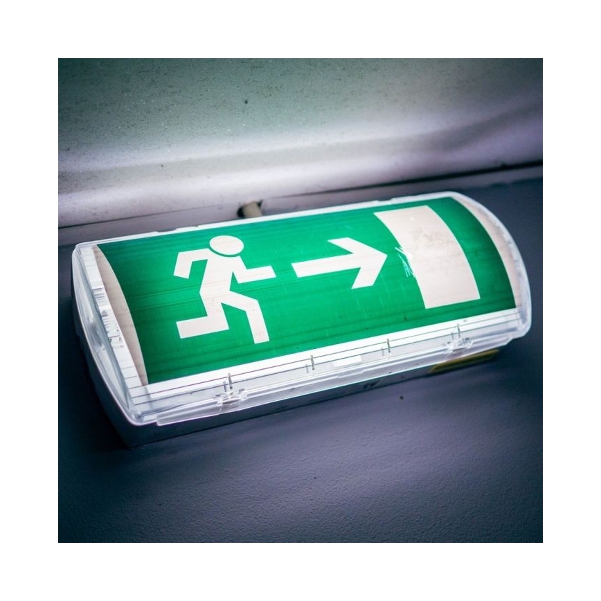 LED avarinė lemputė EMERGENCY EXIT LED/3W/230V IP65 6000K 1200mAh