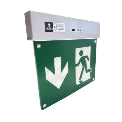 LED avarinė lemputė LED/2W/230V 6000K 300 mAh