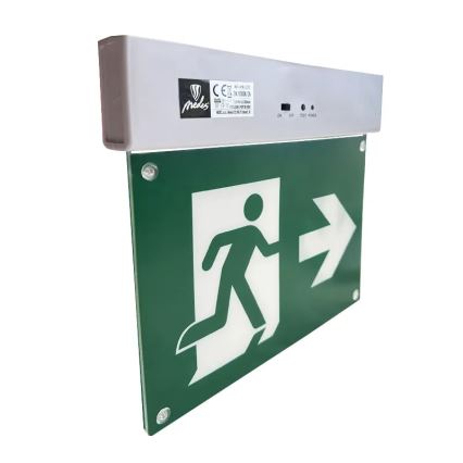 LED avarinė lemputė LED/2W/230V 6000K 300 mAh