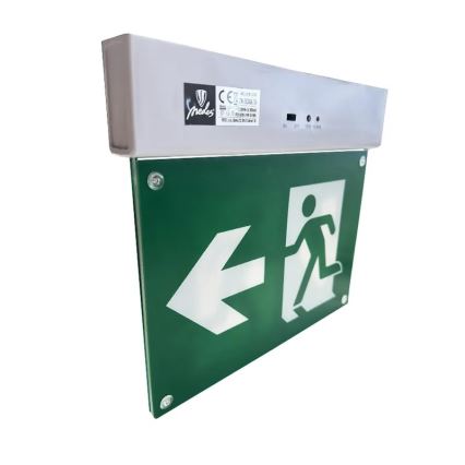 LED avarinė lemputė LED/2W/230V 6000K 300 mAh