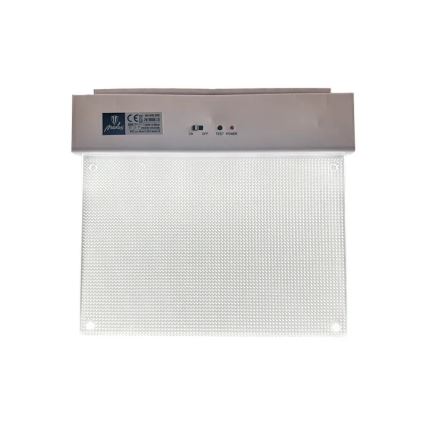 LED avarinė lemputė LED/2W/230V 6000K 300 mAh