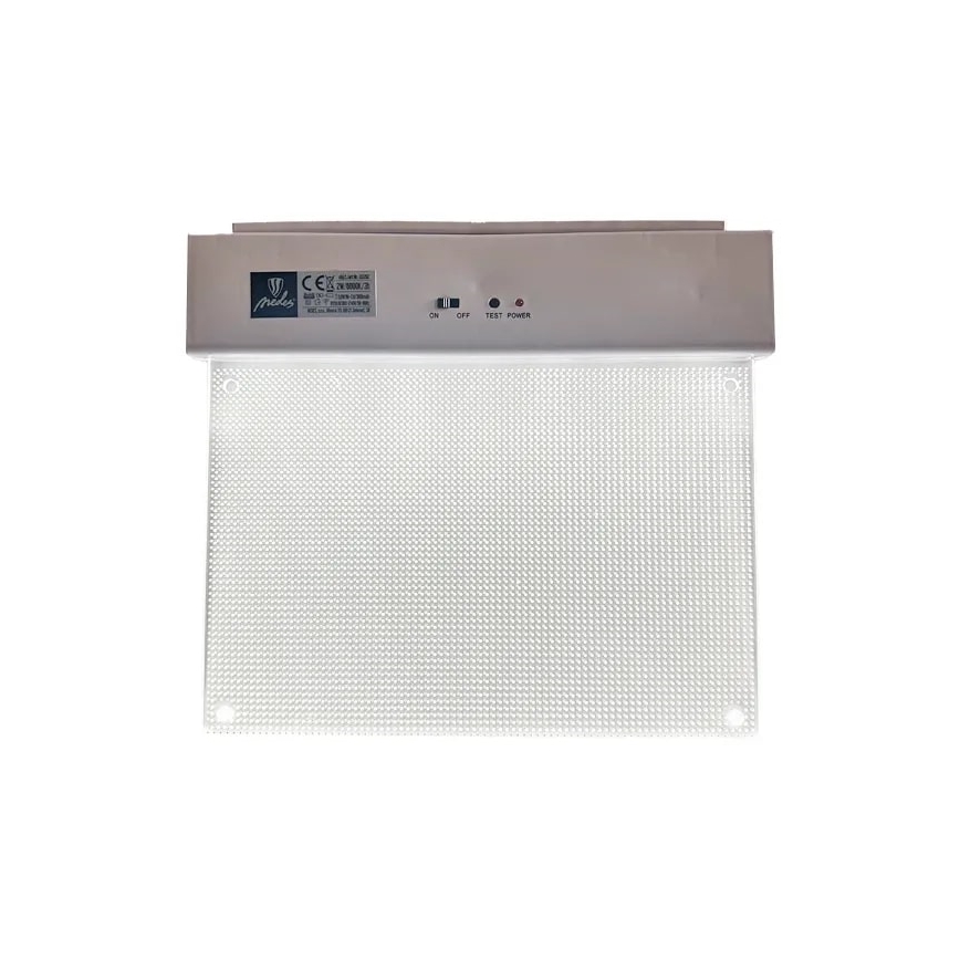 LED avarinė lemputė LED/2W/230V 6000K 300 mAh