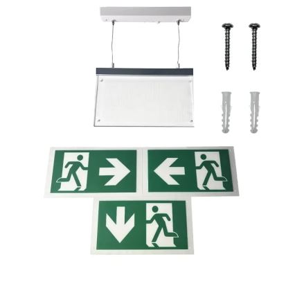 LED avarinė lemputė LED/4W/230V 6000K 1000 mAh
