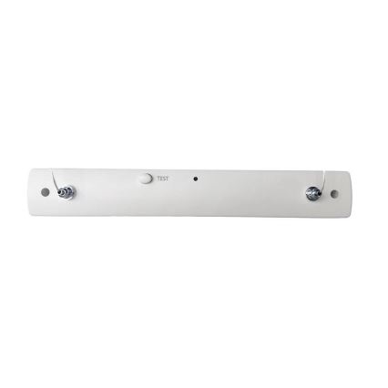 LED avarinė lemputė LED/4W/230V 6000K 1000 mAh