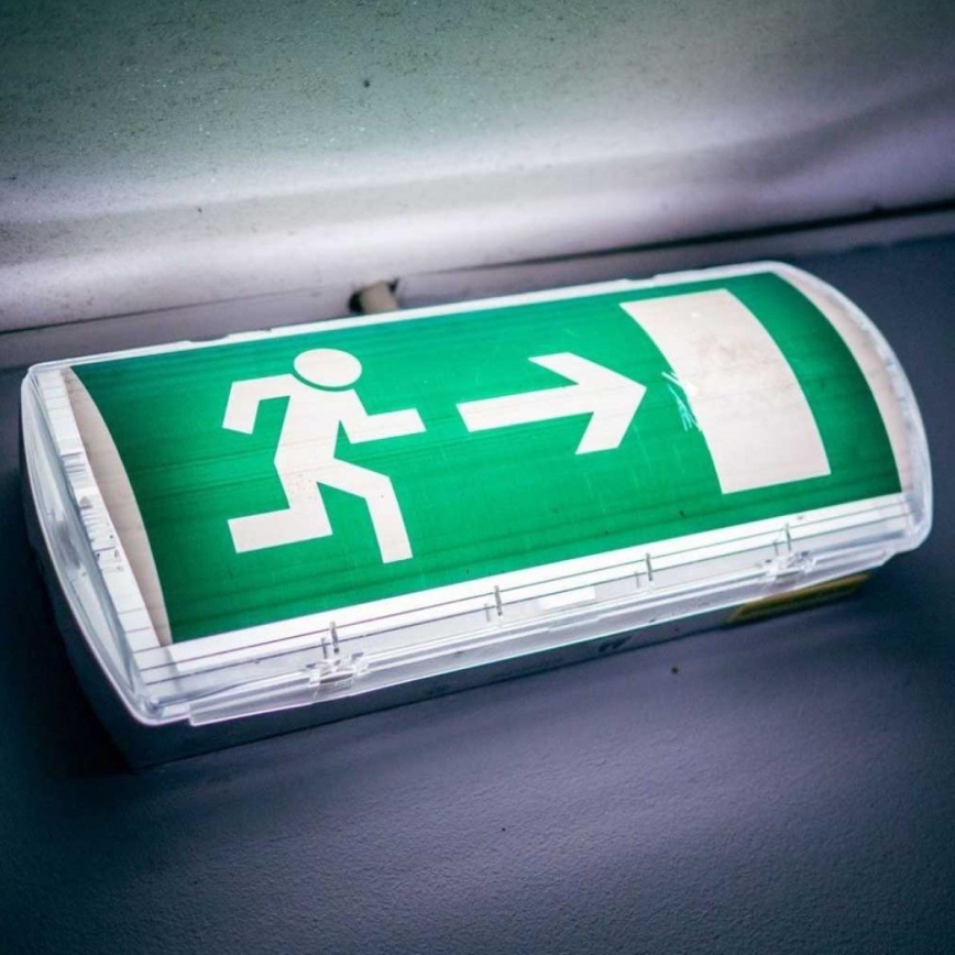 LED avarinė lemputė su įprastu funkcionalumo testu EMERGENCY EXIT LED/3W/230V 6400K IP65