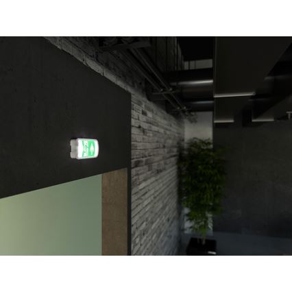 LED avarinė lemputė VIRGO EVO LED/1W/230V 6000K IP65