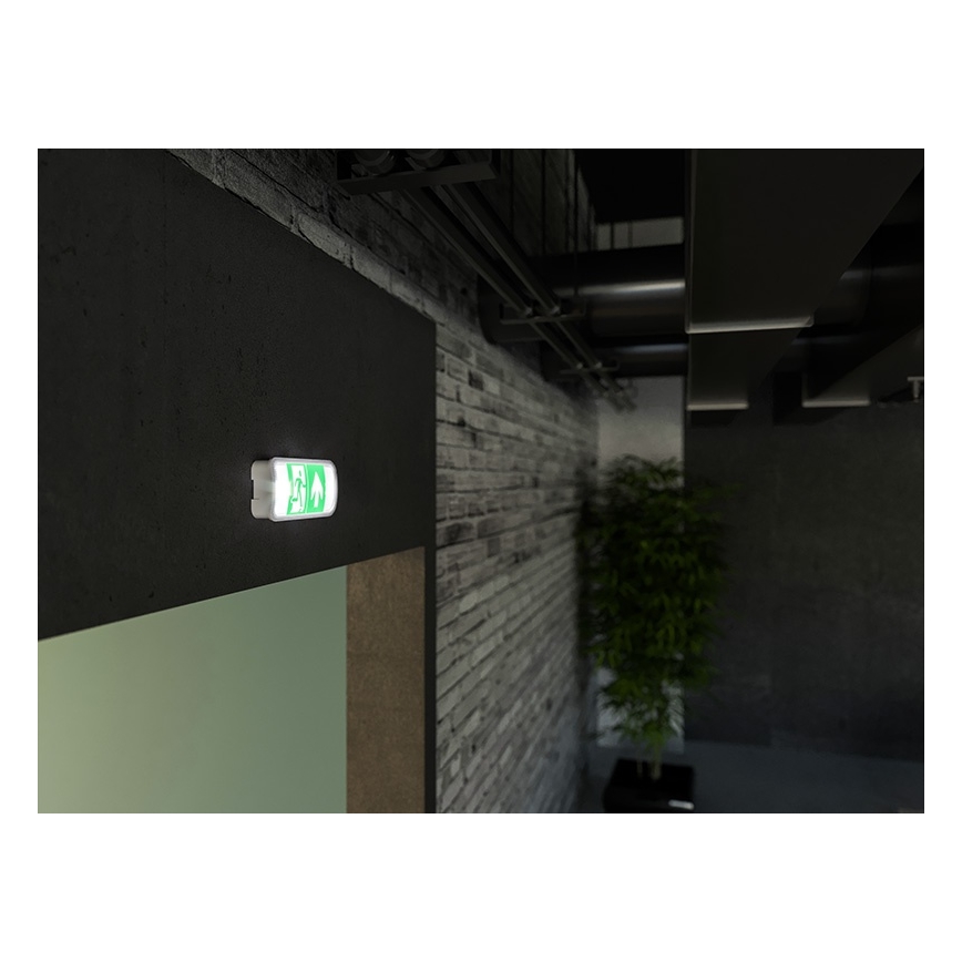 LED avarinė lemputė VIRGO EVO LED/1W/230V 6000K IP65