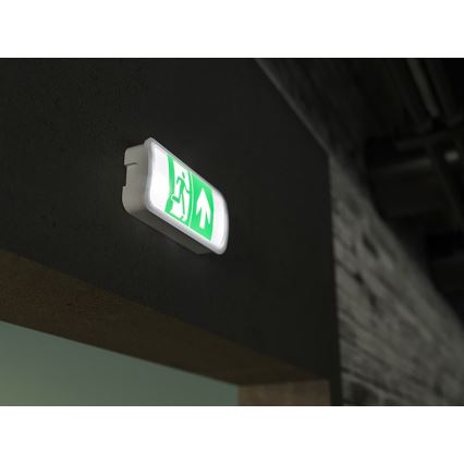 LED avarinė lemputė VIRGO EVO LED/1W/230V 6000K IP65