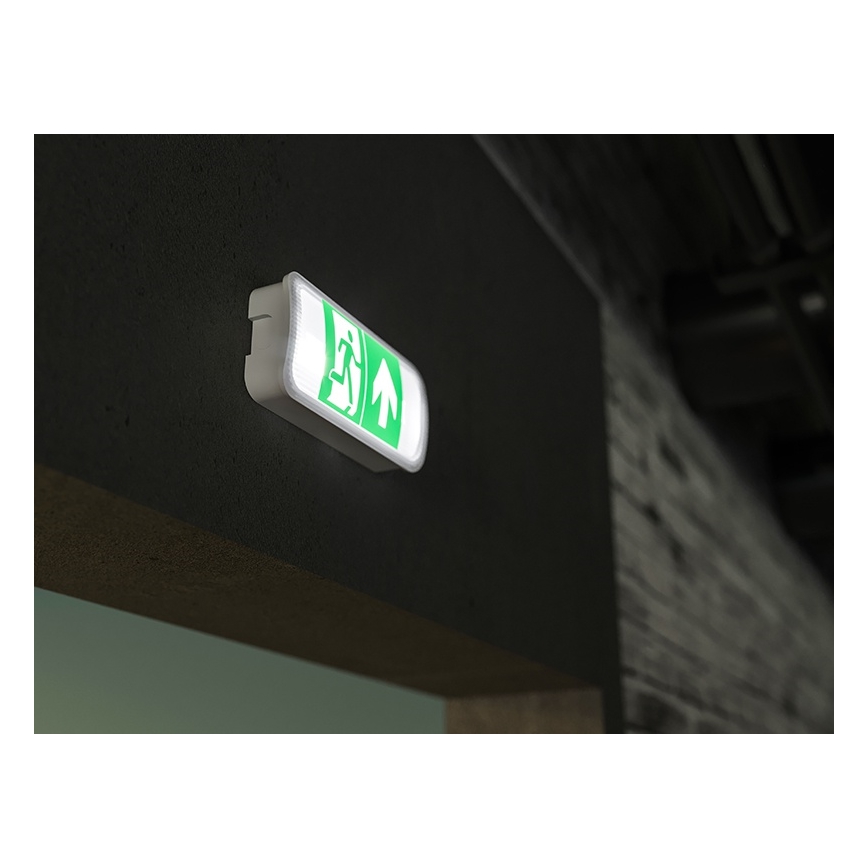 LED avarinė lemputė VIRGO EVO LED/1W/230V 6000K IP65