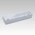 LED avarinis šviestuvas CARLA LED/5,51W/230V 1h/900 mAh IP65