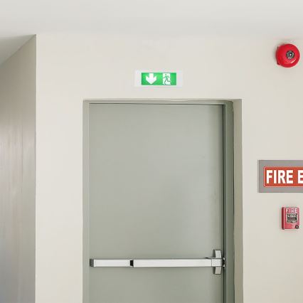 LED Avarinis šviestuvas EMERGENCY EXIT SAMSUNG CHIP LED/3,8W/230V 6000K