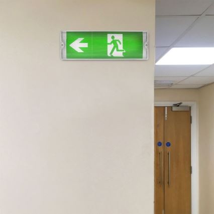 LED avarinis šviestuvas EMERGENCY EXIT LED/3W/230V IP65 6000K 1200mAh