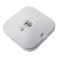 LED avarinis šviestuvas GATRION LED/1W/230V 6000K 1500 mAh IP54 baltas