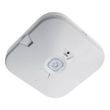 LED avarinis šviestuvas GATRION LED/3/1W/3,2V 6000K 3000 mAh IP54 baltas