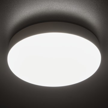 LED Darbinis lubinis šviestuvas IPER LED/19W/230V IK10 IP65 apvalus balta