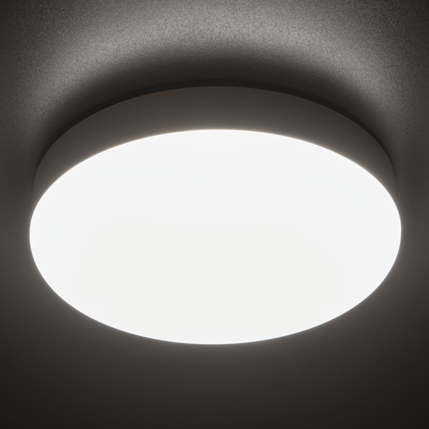 LED Darbinis lubinis šviestuvas IPER LED/19W/230V IK10 IP65 apvalus balta